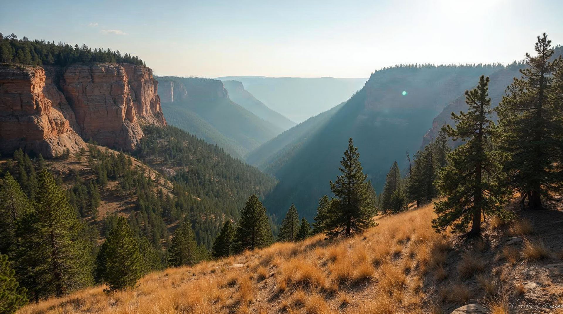 Sunbeams through ponderosa pines on sandstone ridges at Chadron State Park in northwest Nebraska