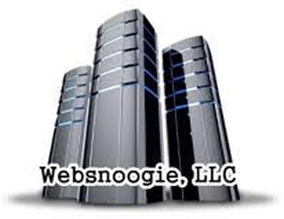 Websnoogie, LLC logo: three server towers above the company name
