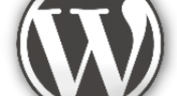 WordPress Developer Hosting and Free SEO Software Discounts [Limited Time]