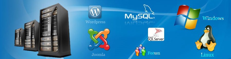 A picture of Joomla, MySQL, and servers