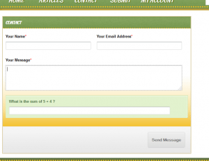 A Website form example