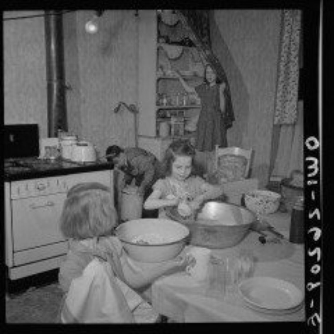 Web Hosting Discount for No Housework Day!