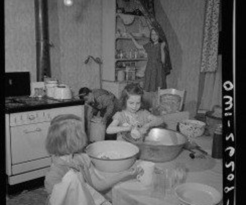 Web Hosting Discount for No Housework Day!