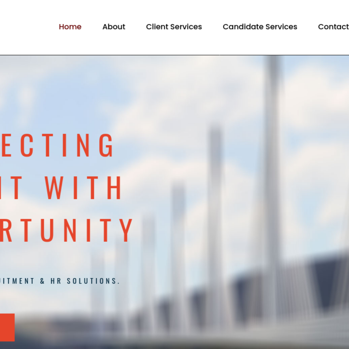 Websnoogie saves businesses thousands of dollars for web design by keeping cost low.