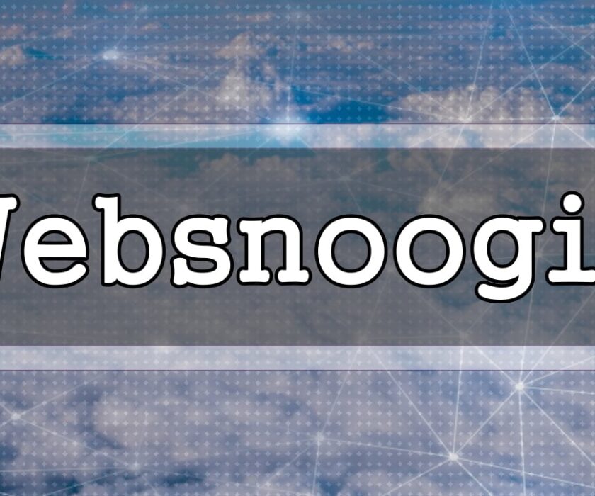 Websnoogie does web design