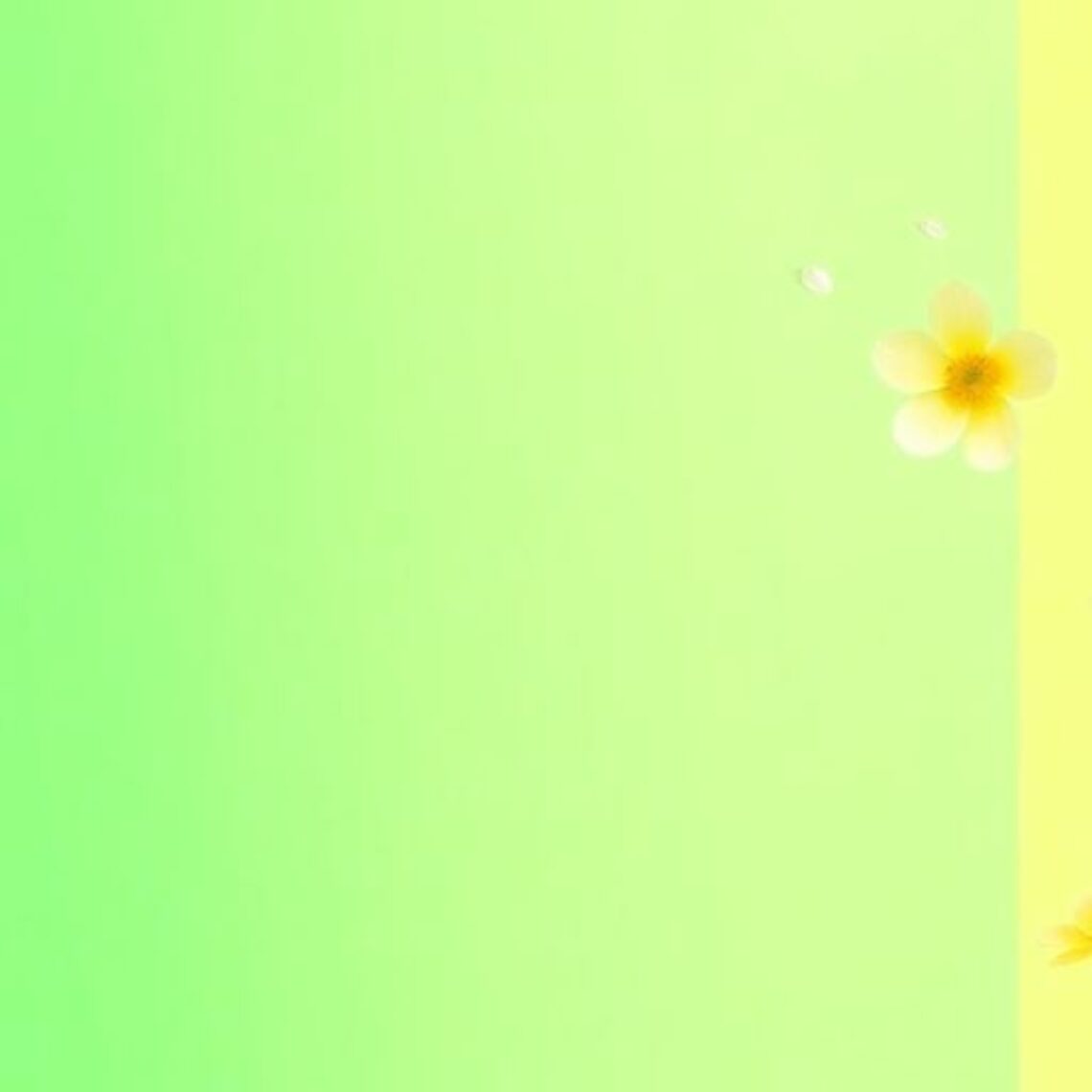 Vibrant spring color palette for small business branding.